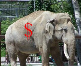 The Elephant in the Canadian Health Care System
